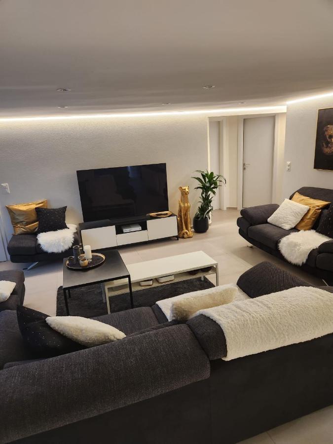Appartement Moderne Avec Terrasse Et Piscine A Chatel Sur Bex ภายนอก รูปภาพ
